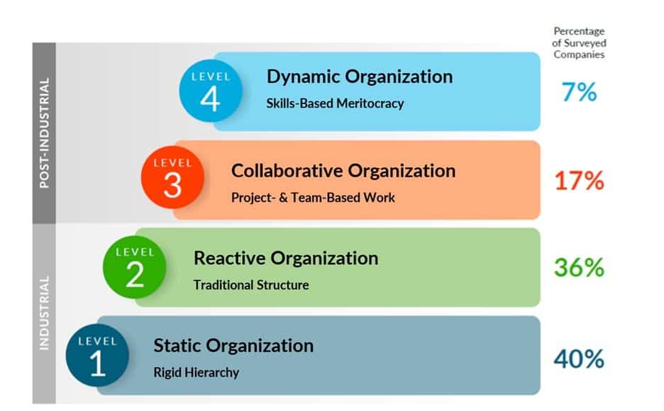 The Dynamic Organization maturity model, by The Josh Bersin Company