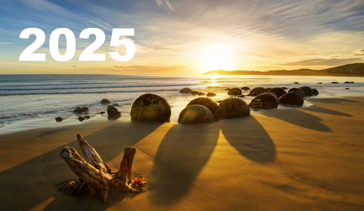 A Tumultuous Year Behind A Challenging,