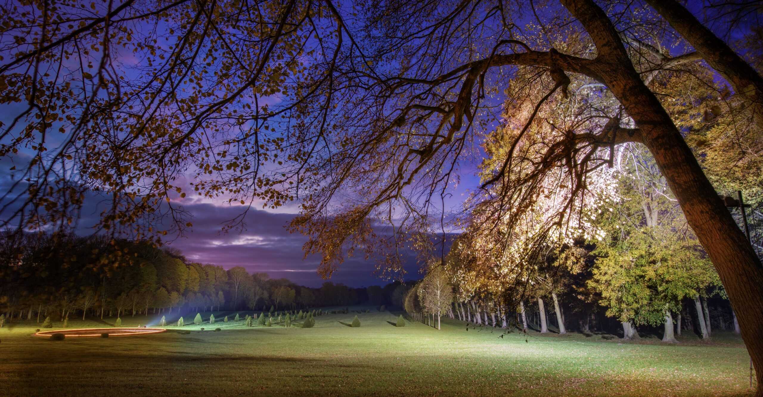 The World of Corporate Training Lurches Toward Enablement